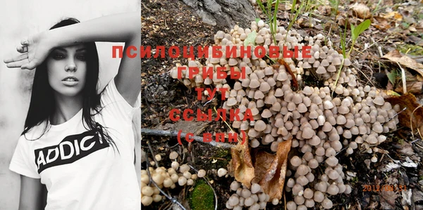 амф Алексеевка