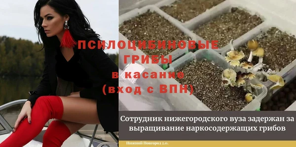 спайс Абинск